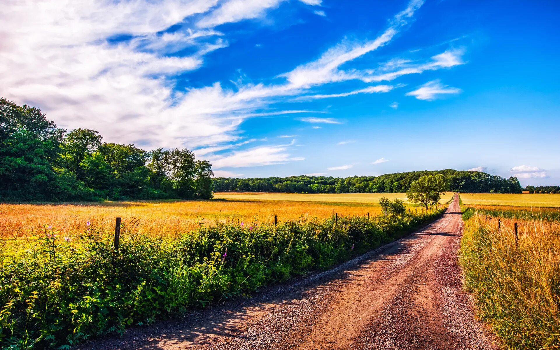 The road in the rye. Красивые летние пейзажи. Пейзаж с дорогой. Летняя дорога. Дорога в поле.