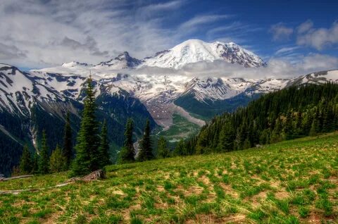 Mountain