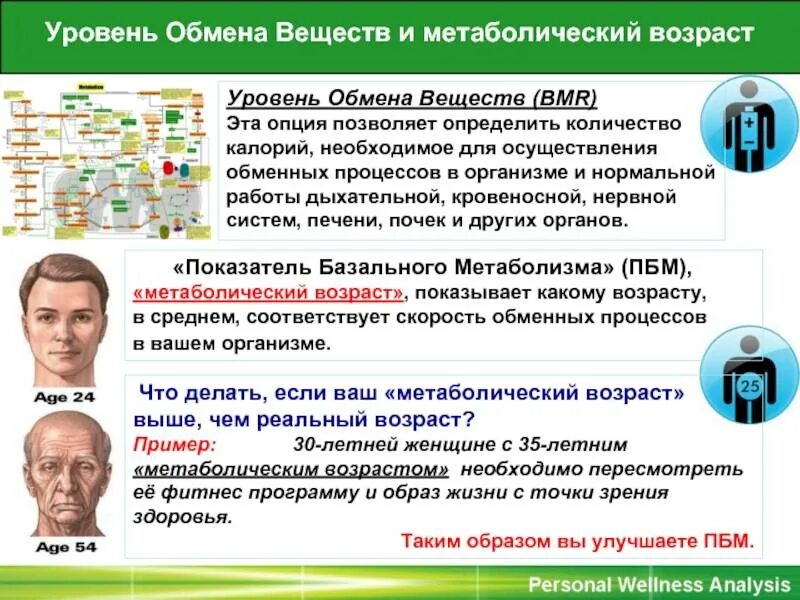 Метаболический возраст. Метаболический возраст норма. Метаболический возраст норма. Что такое метаболический возраст человека. Метаболический возраст норма.