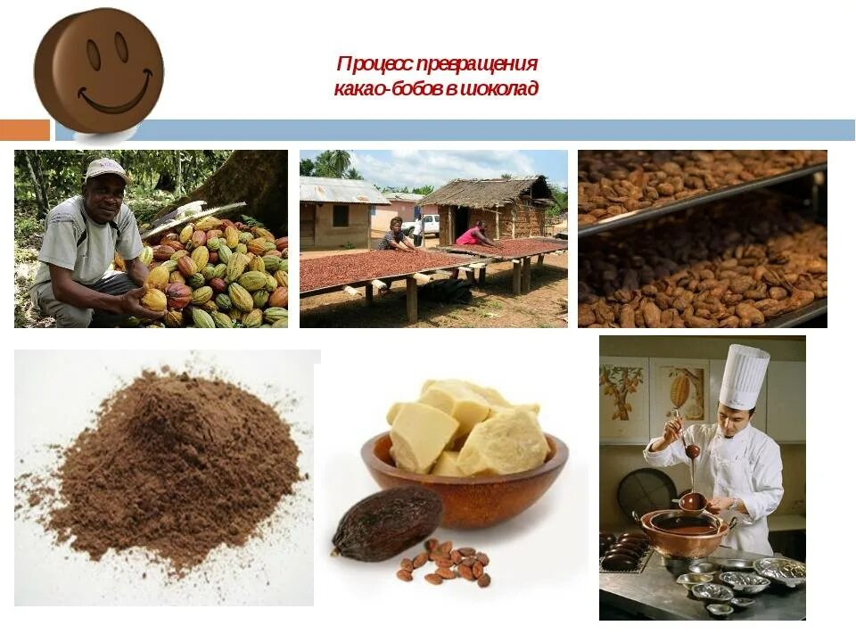 Технология шоколада. Производство шоколада этапы. Производители какао-бобов. Продукция из какао бобов. Процесс производства шоколада.