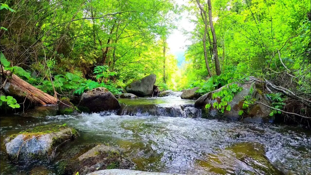 Горный ручей звуки природы. Журчание ручья. Шум воды и ручья. Журчание воды ручей. Видео со звуками природы