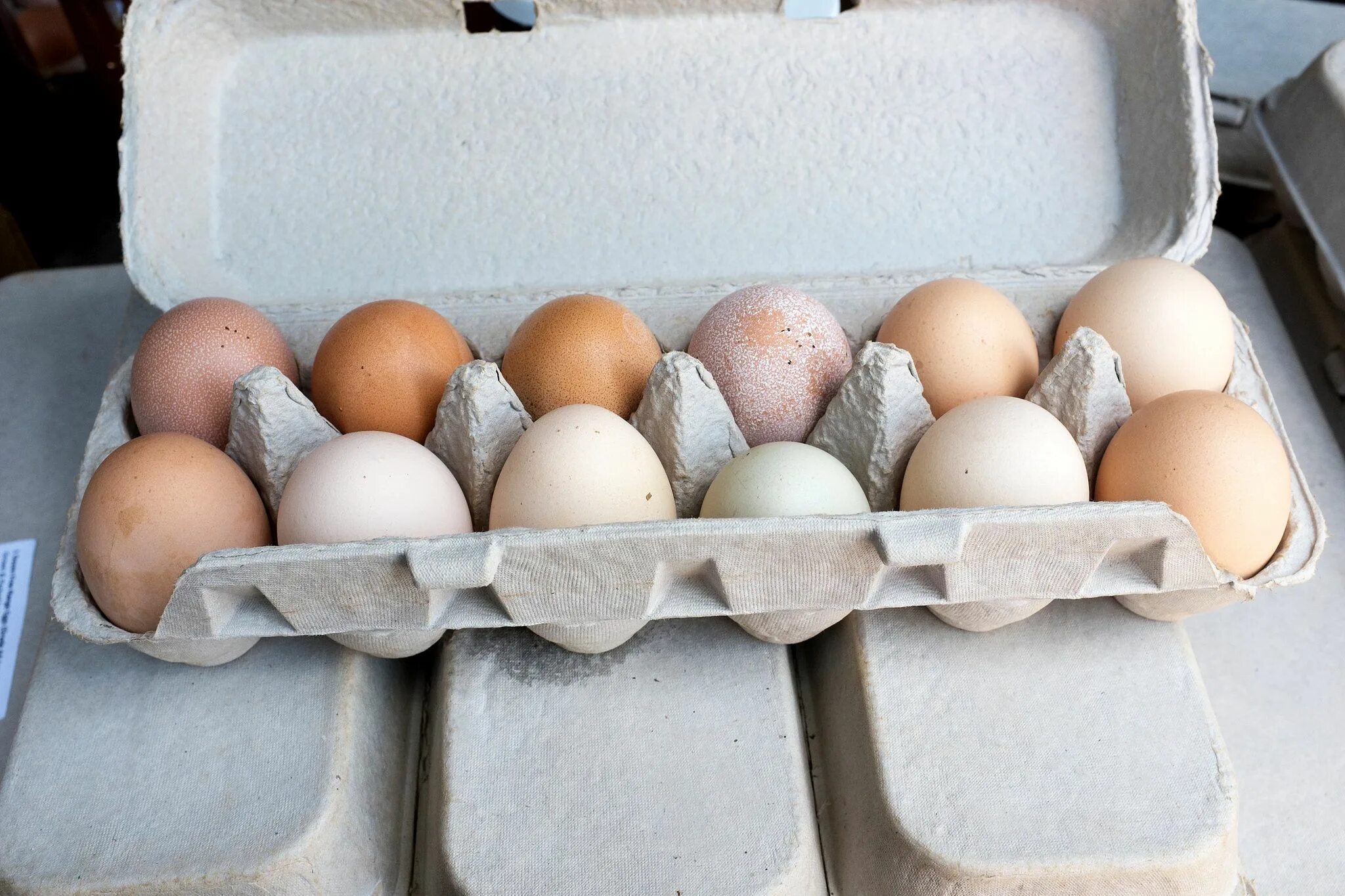 Можно ли подложить под курицу яйца. Яйцо куриное диетическое. Яйцо домашнее куриное. Диетические и столовые яйца. Куриные яйца диетические и столовые.
