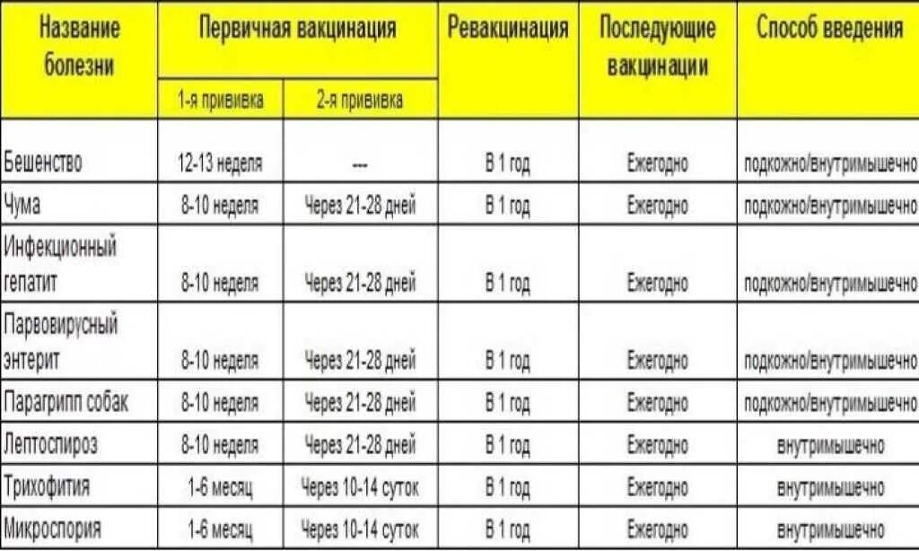 Когда нужно глистогонить щенков. Какие прививки надо делать собаке до 1 года. прививки щенкам по возрасту таблица. таблица прививок для щенков до года. прививка щенку в 2 месяца.