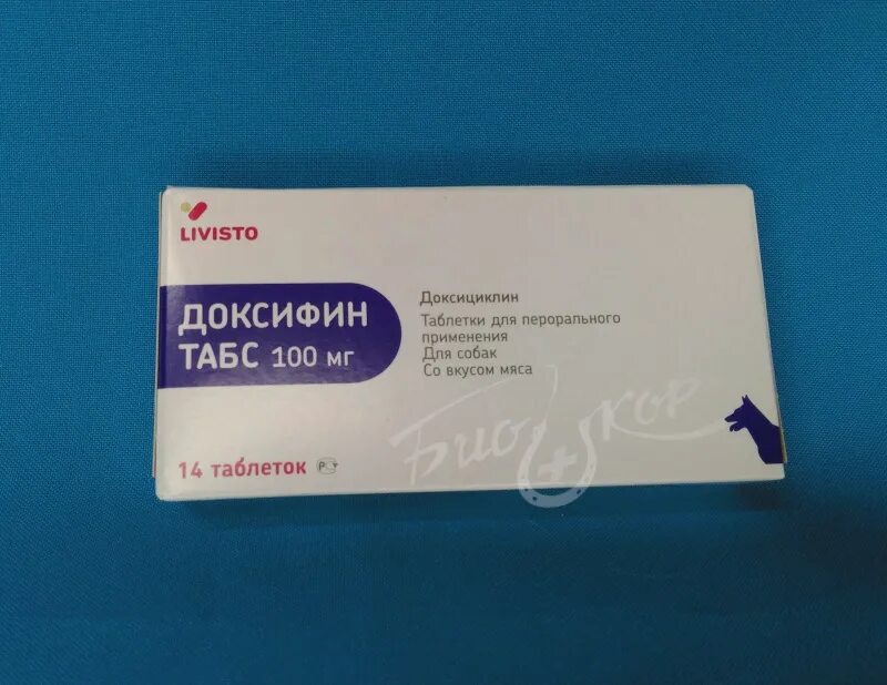 Доксифин для кошек 50 мг. Доксифин 50 мг. Доксициклин Доксифин 50 мг. Доксифин табс 100мг. Доксифин 100 мг.
