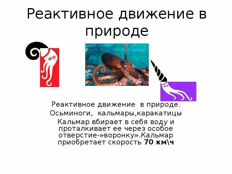 Всероссийский проект реактивное движение первых Реактивное движение