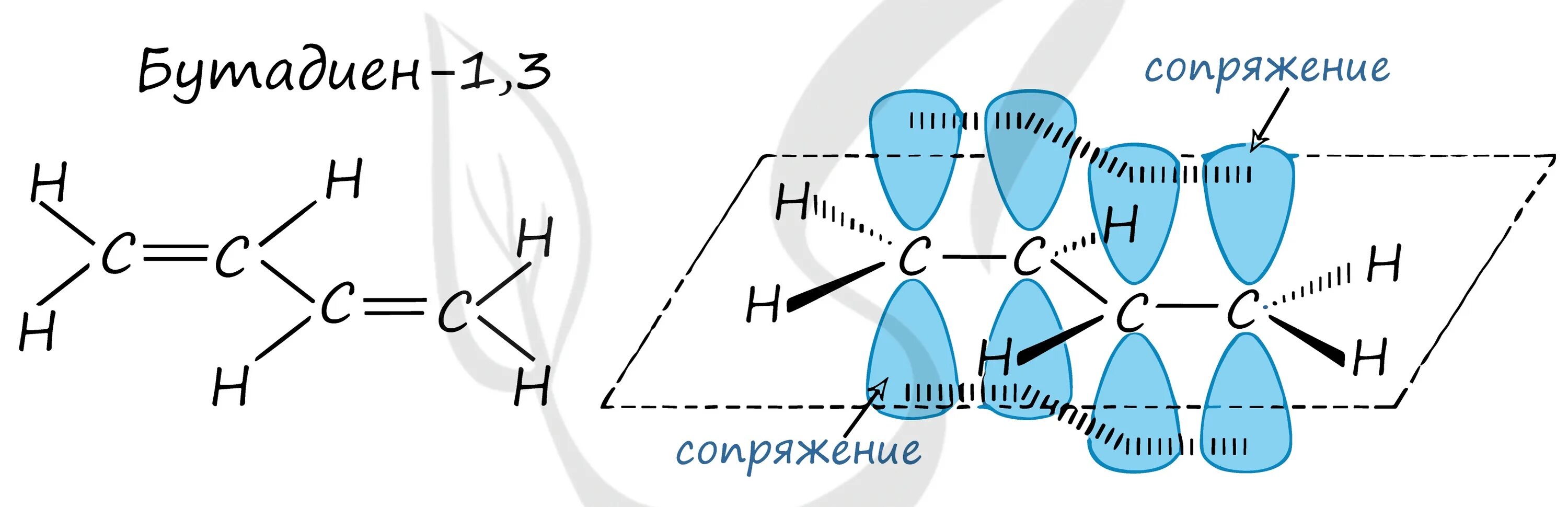 Гибридизация атомов в бутадиене 1 2. Строение молекулы бутадиена 1.3. Электронное строение молекулы бутадиена-1.3. Бутадиен строение молекулы. Схема бутадиена 1.3.