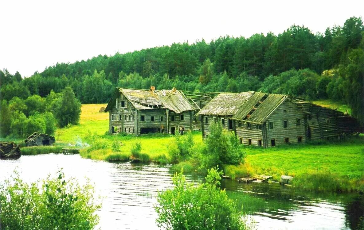 Пегрема деревня в Карелии. Заброшенная деревня в Карелии Пегрема. Деревня Пегрема Медвежьегорский район. Пегрема деревня в Карелии фото. Расселение деревень