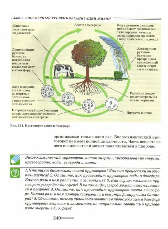 Какое значение в природе имеет круговорот веществ. Роль почвы в круговороте веществ. роль почвы в круговороте веществ в природе. круговорот веществ в почве. роль почвы в круговороте жизни.