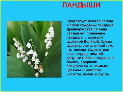 О цвести пре сказание о вертка