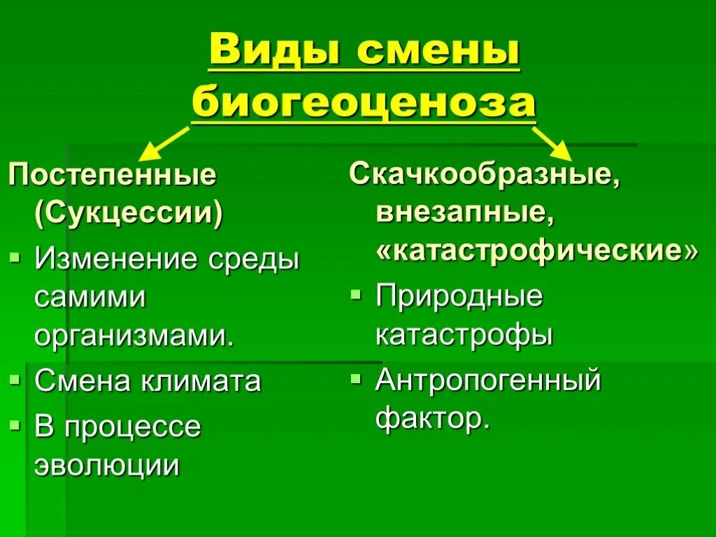 Примером биогеоценоза может служить организм человека. Причины смены экосистем. Типы смен биогеоценозов. Смена биогеоценоза. Причины смены биогеоценозов.