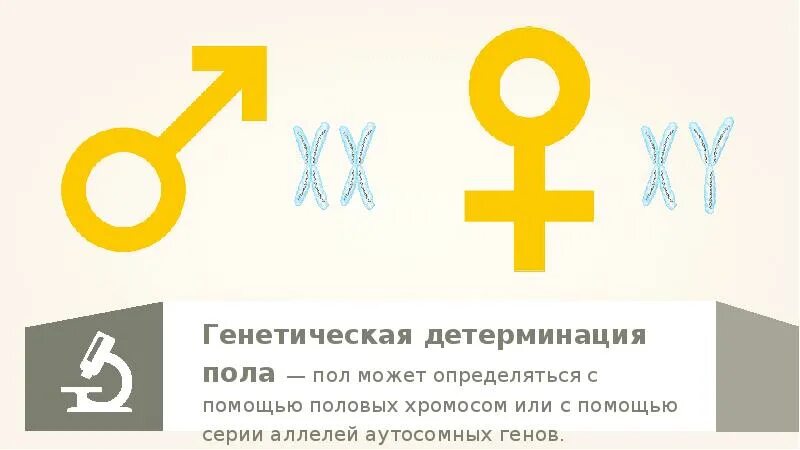 Хромосома определяющая пол человека. Типы хромосомной детерминации пола. хромосомы для определения пола человека. генетические механизмы детерминации пола. хромосомный механизм определения пола у человека.