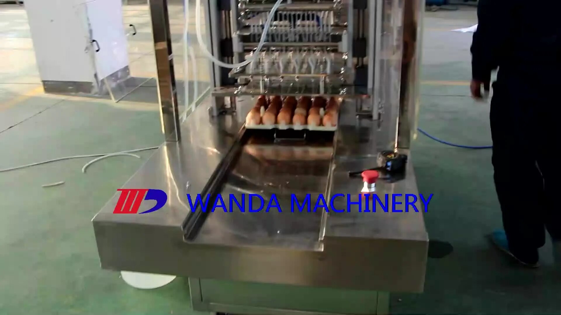 Вакцина яйца. Инокулятор это аппарат. Egg Inoculator Machine buy. Egg Inoculator Machine. Производство вакцины яйца.