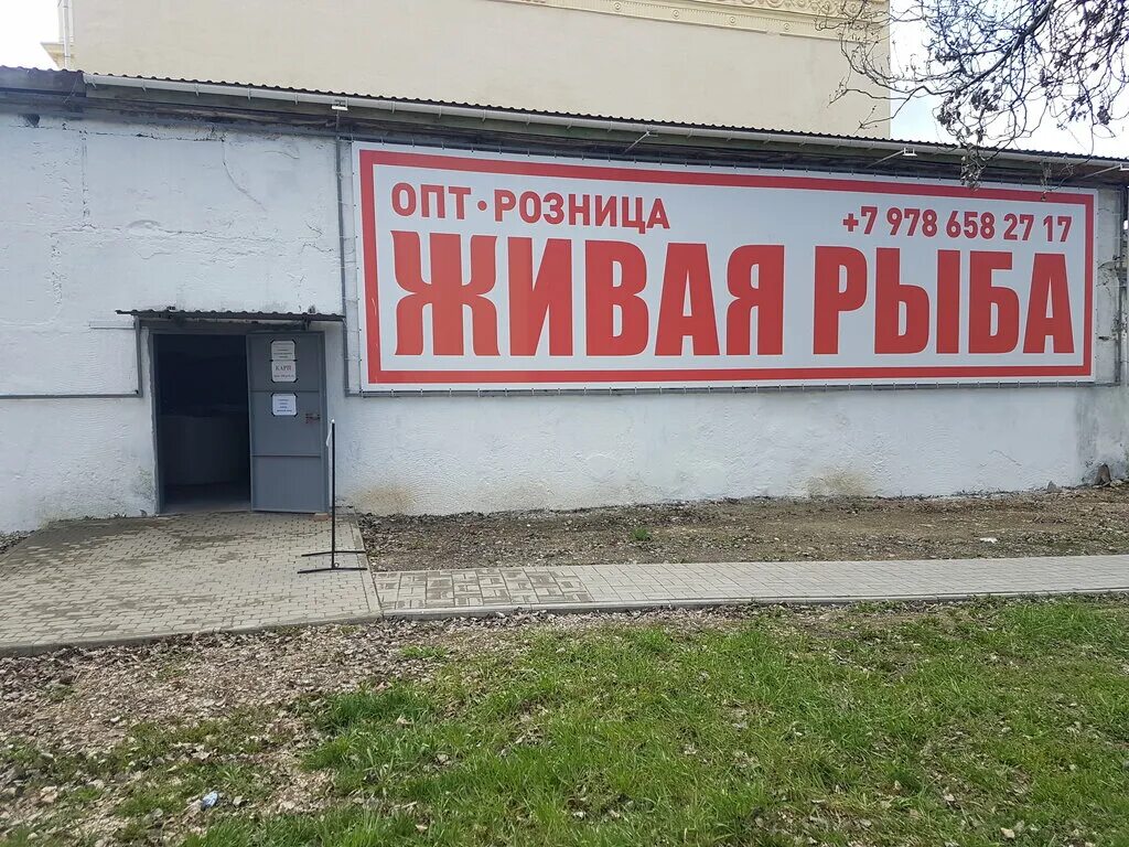 магазин рыбы и морепродуктов. свежая рыба симферополь. свежая рыба вывеска. баннер для рыбного магазина. ассортимент магазина океан.