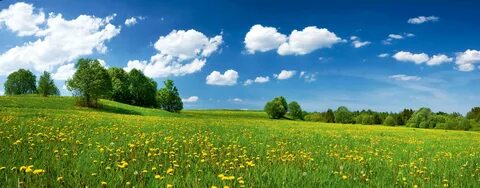 Land environment