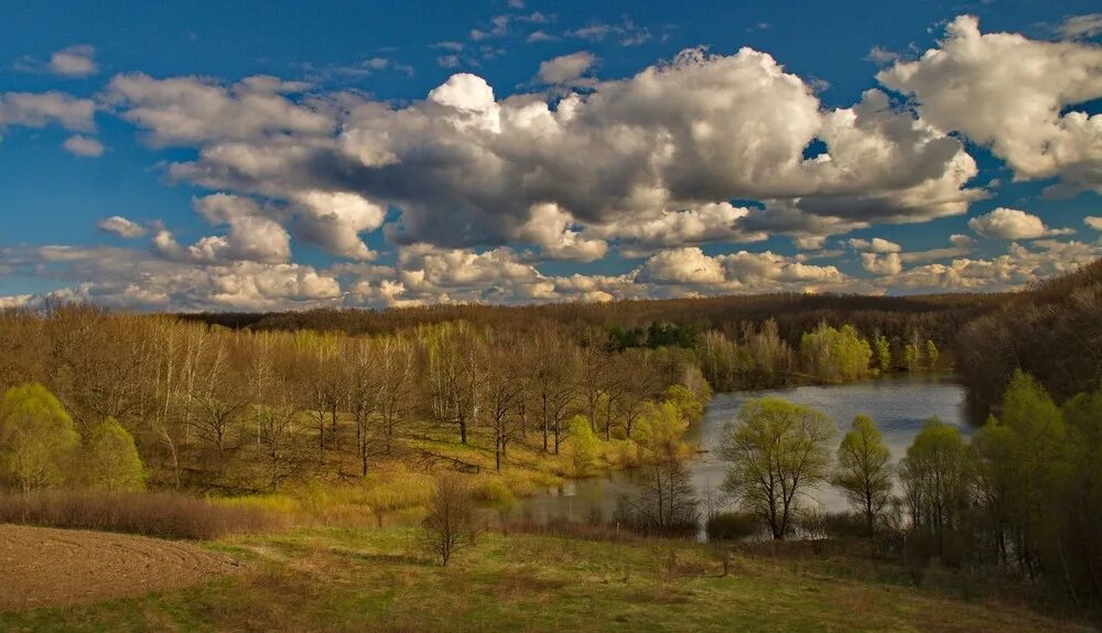 Пейзажи донецкого края. Просторами україни. Штат канзас поля подсолнухов. Подсолнуховые поля ростовская область. Видео.