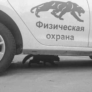 Картинки с надписью поржать