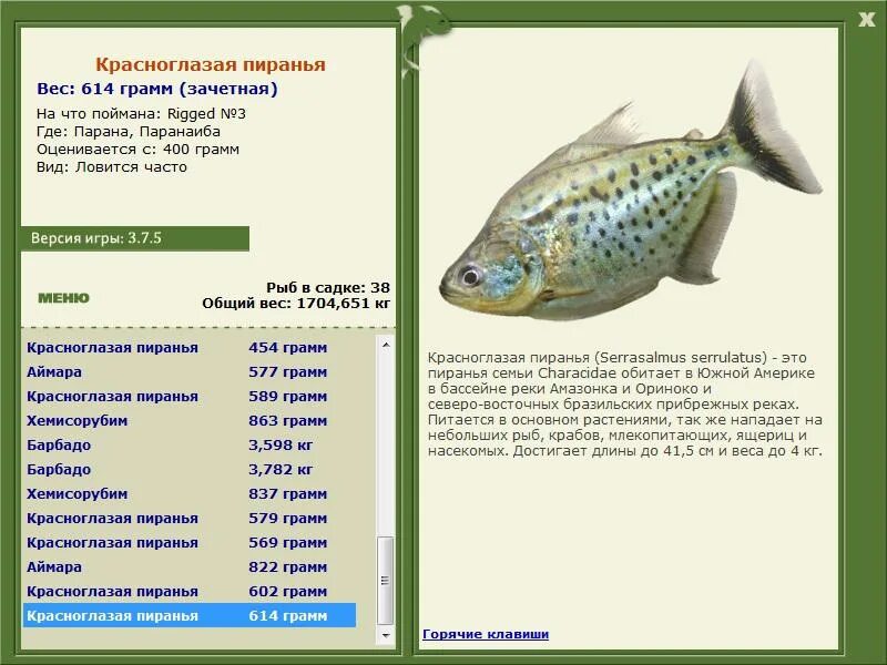 обыкновенная уклейка alburnus alburnus. рыба малоротый басс. афиосемион гарднера. небольшая рыбка 7 букв. карликовый бычок рыба.