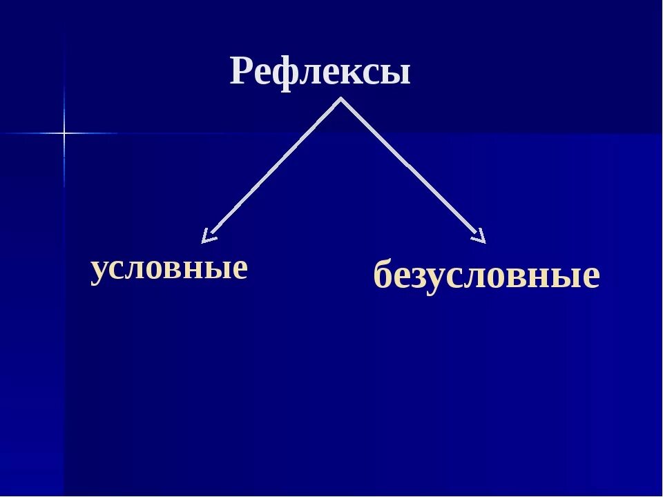 Условные рефлексы это какие. Условные и безусловные рефлексы. Условный рефлекс и безусловный рефлекс. Условие и безуслоаие рефлекции. Условны безусловные рефлек.