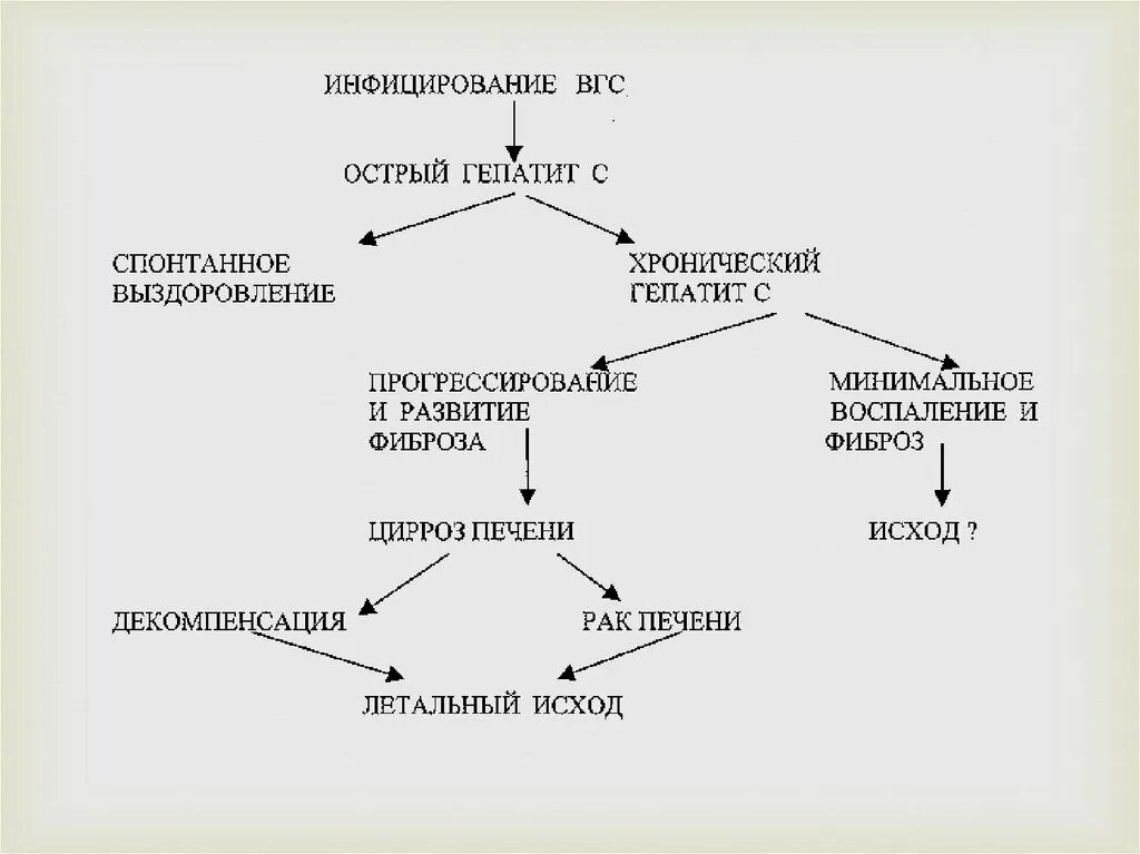 Патогенез вирусного гепатита в схема. Схема заражения человека вирусным гепатитом. Схема заражения гепатитом а. Вирус гепатита с патогенез схема. Гепатит а патогенез