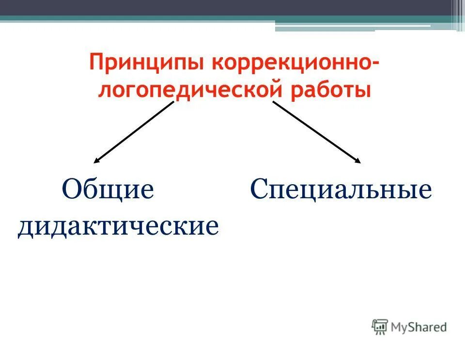 Принцип работы логопеда. Специальные принципы логопедии. принципы логопедической работы. специальные принципы логопедической работы. принципы коррекционно логопедической работы.