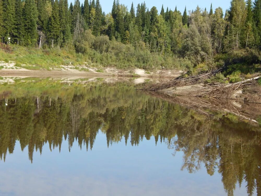 Река васюган в новом васюгане. Река васюган томская область. Нижний васюган. Река васюган притоки. Поселок васюган томской области.