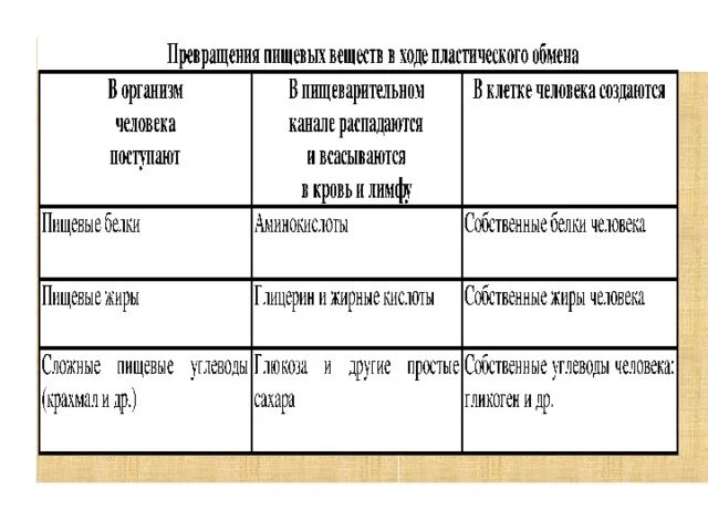 Заполните таблицу питательные вещества ГДЗ по Окружающему миру 3 класс страница 78 рабочая тетрадь часть 1 Плешаков