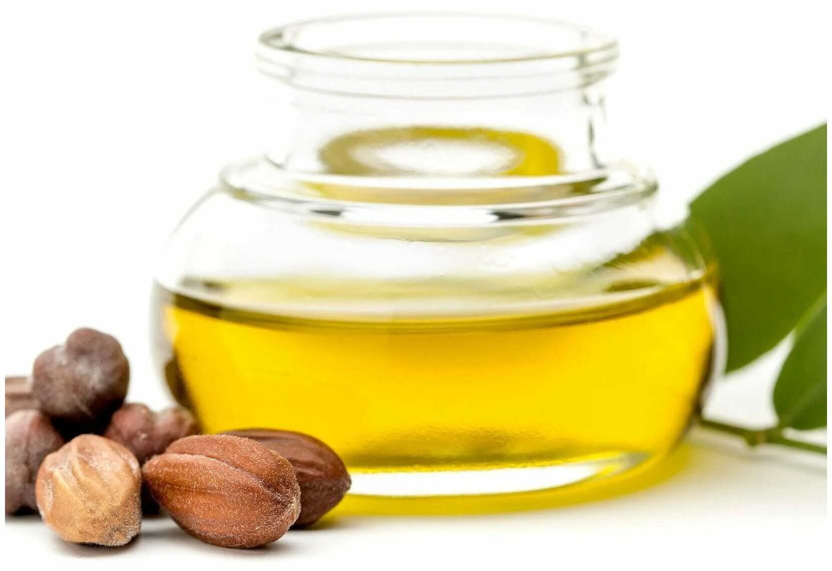 масло botanika конопли 30мл. жожоба на белом фоне. жожоба масло натуральное. жожоба куст. жожоба плоды.