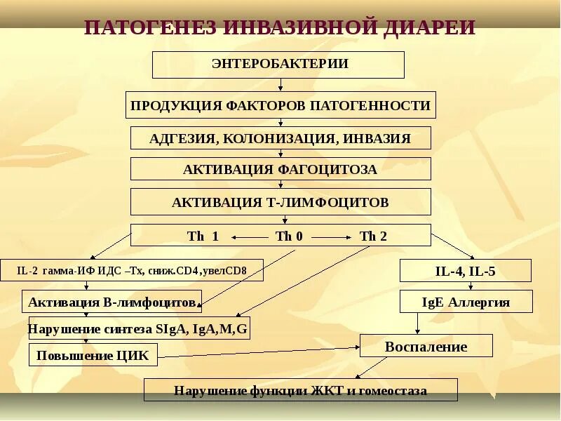 Экссудативная диарея. Механизмы развития диареи. Механизмы развития диареи. Патогенез диареи. Секреторная диарея патогенез.