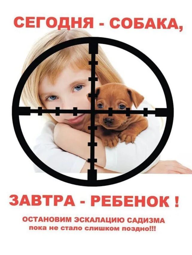 Детский проект на тему жизнь собак