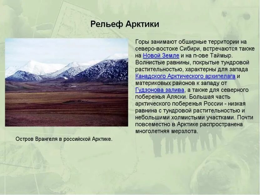 Болото на западно сибирской равнине. Рельеф австралии 7 класс география. Занимает обширные территории. В какой природной зоне соответствуют приведенные характеристики. Занимает обширные территории.