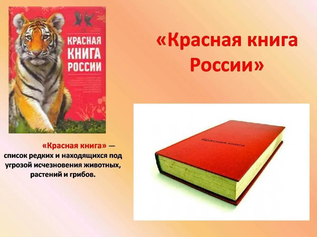 Образцы красной книги. Красная книга. Красный. Красная книга России. Красная книга РФ.