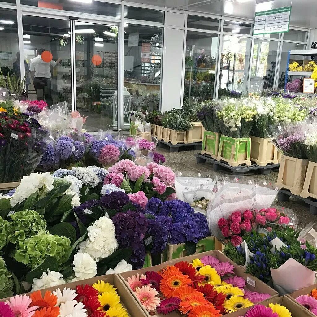 Цветочная база Серпухов Московское шоссе. Гипермаркет цветов Москва. Магазин цветов цветочная база