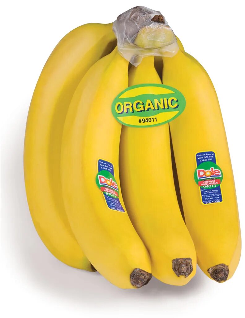 Где купить банан. Бананы био. Банан Органик. Органические бананы. Килограмм бананов.