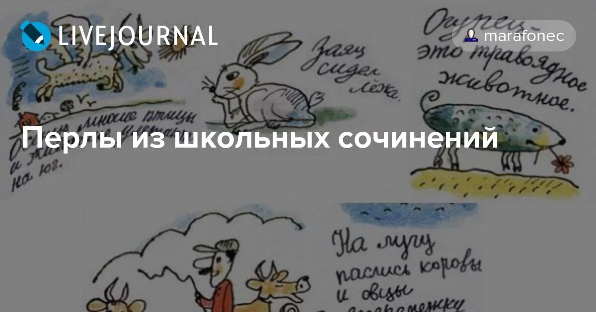 Перлы читать. Из школьных сочинений. перлы школьников. ученические перлы. перлы школьных сочинений.