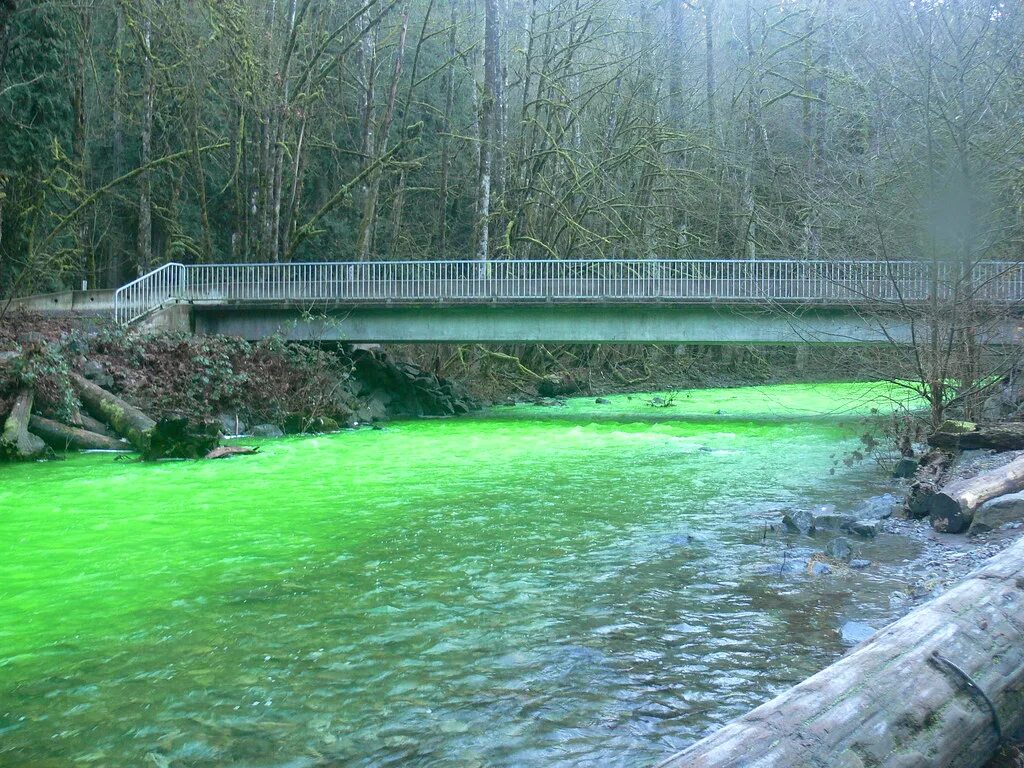 Лаба зеленая. Река Грин Ривер тела. Парк зеленая река. Река Грин Ривер фото. Река зеленого цвета.