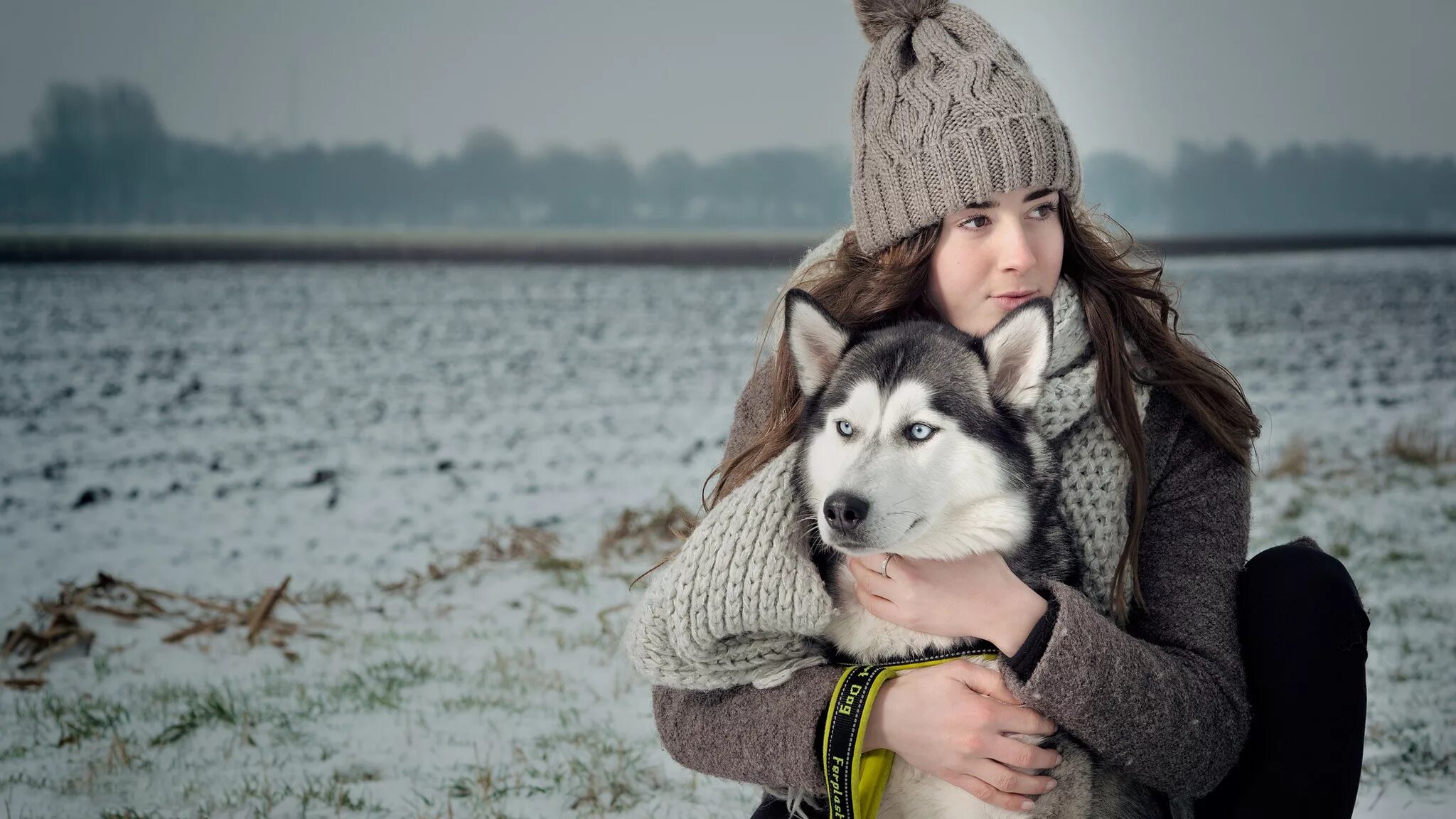Девочка 12 лет с собакой. Алена Сиянова хаски. Сибирский хаски с человеком. Одри хаски. Хаски и Насибуллина.