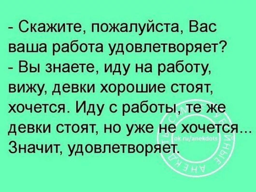 Вас удовлетворяет ваша работа анекдот. Тебя работа удовлетворяет анекдот. Анекдот про удовлетворение работой. Анекдот удовлетворяет ли вас работа. Муж не хочет работать что делать