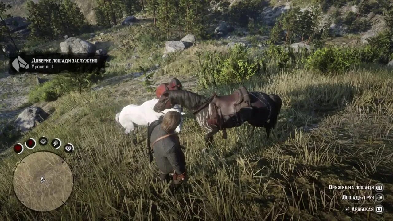 Red Dead Redemption 2 арабский скакун на карте. Red Dead Redemption 2 карта лошадей. Red Dead Redemption 2 Дикие лошади на карте. Red Dead Redemption 2 карта арабская лошадь.