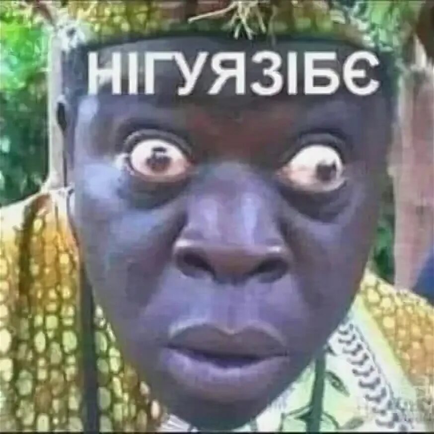 Нигуя зебе. Нигуя зебе