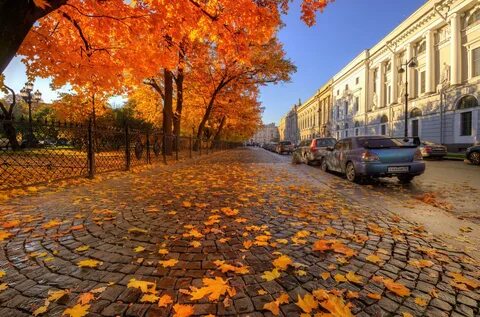 На улице золотая осень