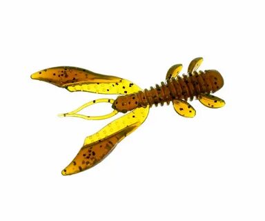 Craw