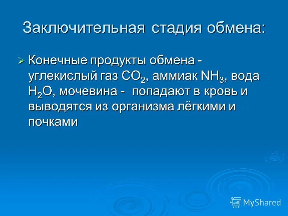 Задания биология заключительный этап. Заключительная стадия обмена. Заключительная стадия обмена веществ. Подготовительная основная заключительная стадии обмена. Степени обмена.