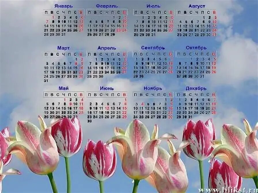Календарь как прошел день. Календарь с цветами. Тюльпаны для календаря. Год на цветах календарь. Календарь за 2021г.