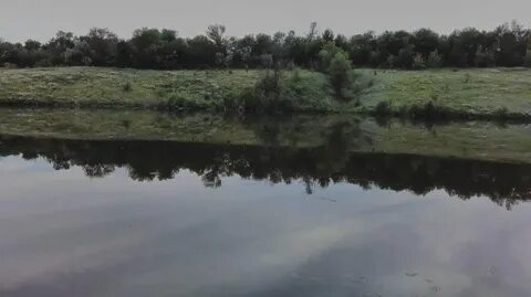 Погода воронежская девица