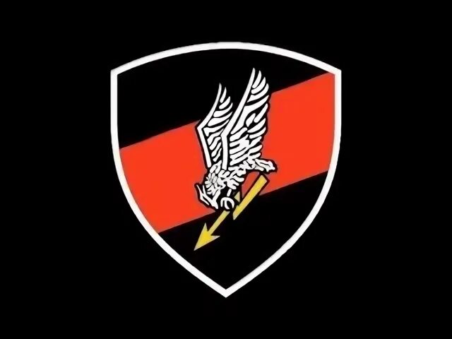 Гром 2 дом 2. Польский спецназ гром. grom польша эмблема. эмблема jw grom. grom польша лого.