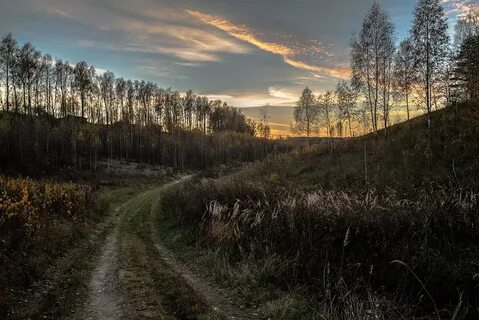 Вечер поздней осенью
