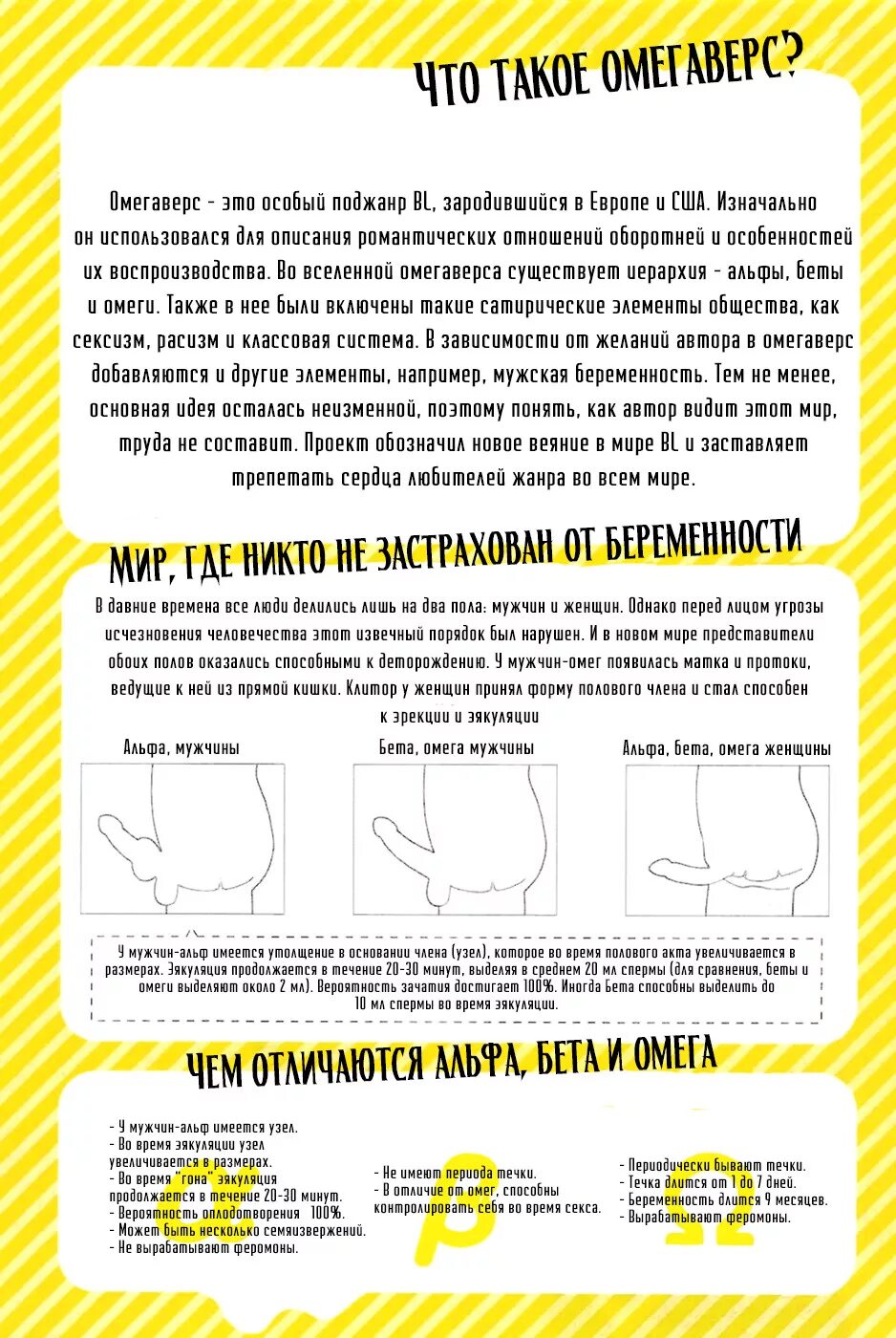 Омегаверс узел альфы. Анатомия альфы в омегаверсе. Омегаверс строение Омеги. Строение омег в омеговерсе.