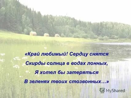 Любимый кра
