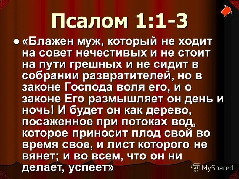 Псалом 1. Псалом Блажен муж. Псалом 1 Библия. Псалом 1:3. Псалом 1 русском читать