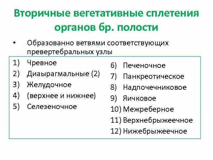 Классификация вегетативной. Вегетативные сплетения. Вегетативная система классификация. Основные вегетативные сплетения. Вегетативные сплетения брюшной полости.